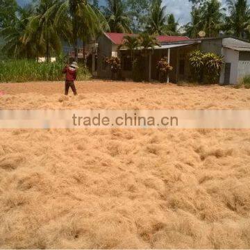 Coconut Fiber- High quality (QQ : 2598494113)