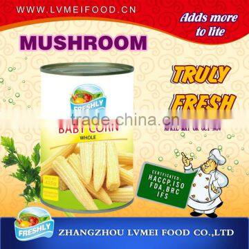 Canned Baby Corn Whole Cut Price