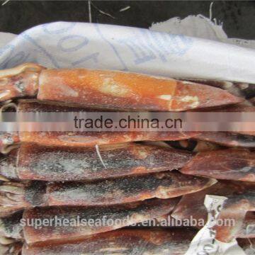 Frozen Squid 100-150g