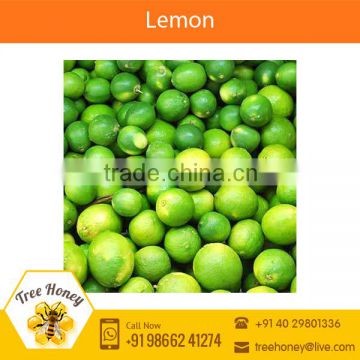 Best Selling Fresh High Quality 100% Natural Lemon for Bulk Buyers