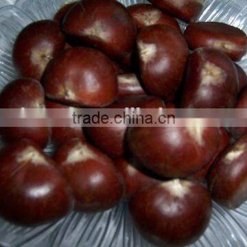 Bulk organic fresh chestnut supplying from China