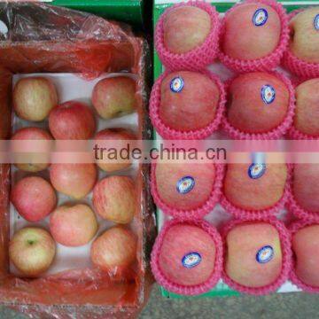 qixia red fuji apple