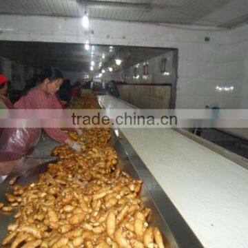 China New Fresh Ginger for Export photo-2