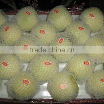 Chinese Fresh Golden Delicious gala Apple