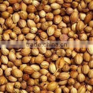 Coriander Seeds