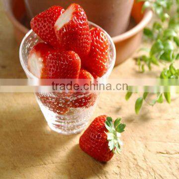 Healthy and Delicious Strawberry Chocolate Snack Food71