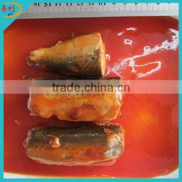 Cheape mackerel in can with tomato sauce