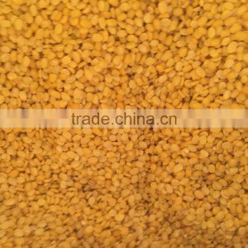 Hight Quality Split Green Mung Bean From Viet Nam for Sale photo-2