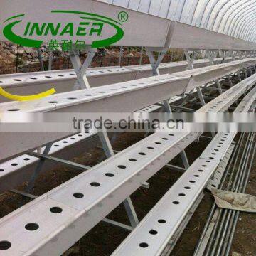 High quality eggplant Planting trough for Modern plantation