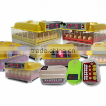 WQ-12 Capacity 12 eggs incubator and hatcher from china