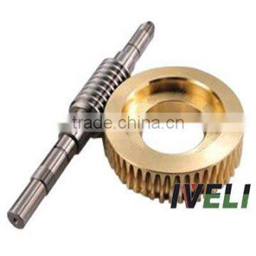 China Worm Gear for Worm Gearbox