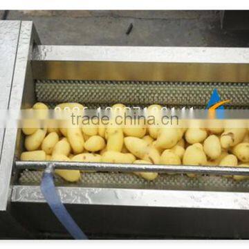 Industrial Brush Type Vegetable and Fruit Washing Machine photo-4