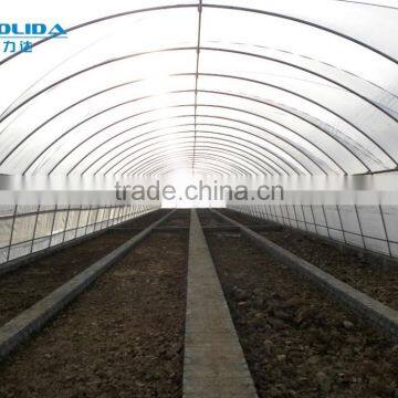 PE Film Greenhouse photo-2