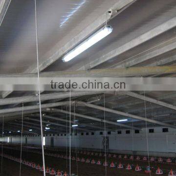 steel structure chicken shed