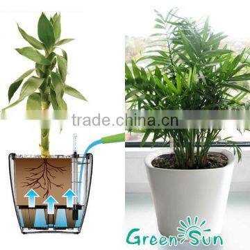 Different sizes and material large plant pots