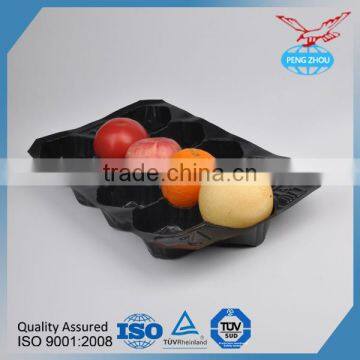 Laizhou Hot Sale 29*49cm Green Disposable PP Fruit Tray photo-5