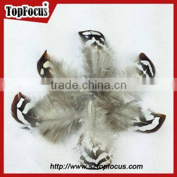 Hot Sale Dyed Wholesale Natural Cheap Artificial Pheasant Feathers Prices photo-5