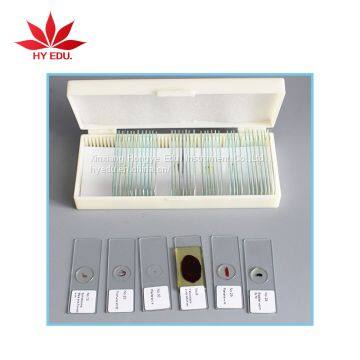 Individual Microscope Prepared Slides Medical Parasite Microscope Slides