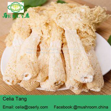 Wild Growing Mushroom Bamboo Fungus Tasty Dictyophora