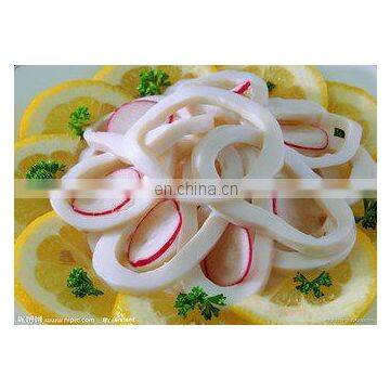 Commercial High Quality Squid Cutter Machine