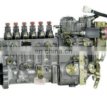 6CTA8.3 Engine Fuel Injection Pump 4935335 C4935335 with MFR No. 10 403 646 219/10403646219