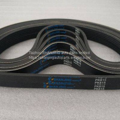 Common Vehicle Drive Belt