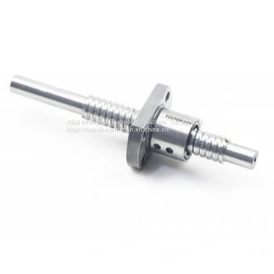 High Precision 8mm Diameter Pitch 2mm 0802 Ball Screw