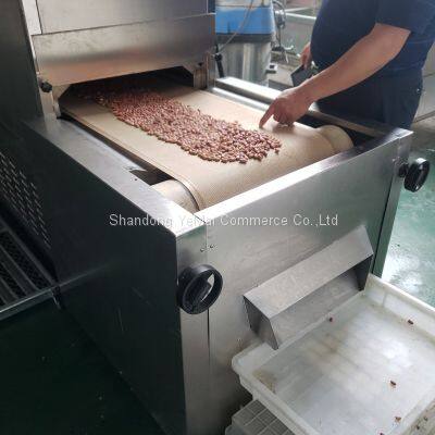 Multi-function Continuous Peanut Roasting Line Nut Sterilizer