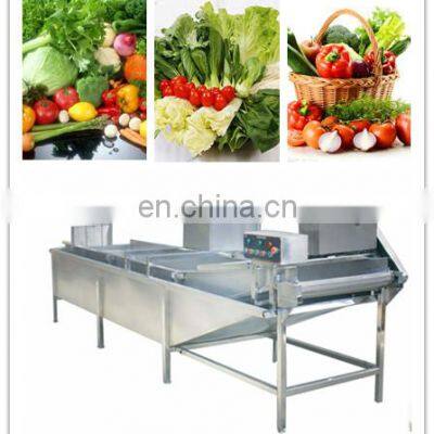 Automatic Fruit And Vegetable Processing Machine Equipment/Berry Washing Machine photo-3