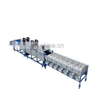 onion garlic sorting and grading machine