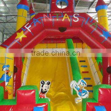 Giant Inflatable Pool Slide photo-5