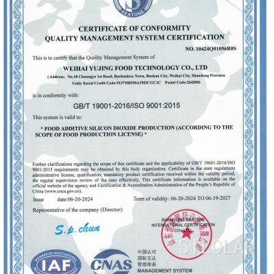 ISO 9001
