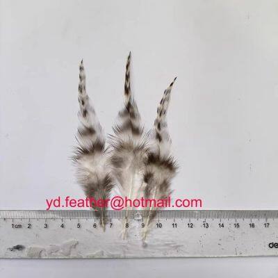 Rooster Schlappens Chinchilla Tail Feather from China