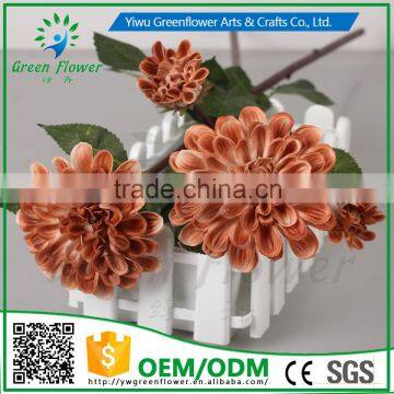 Greenflower 2016 Barberton Daisy Real Touch Two Herbaceous Peony Wedding Decrations Flowers photo-2