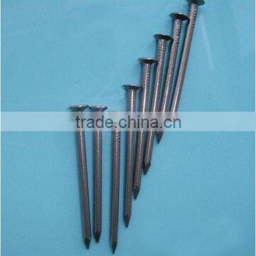 Common round wire nail(factory)