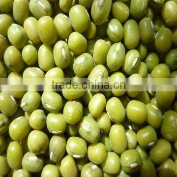 Mung beans