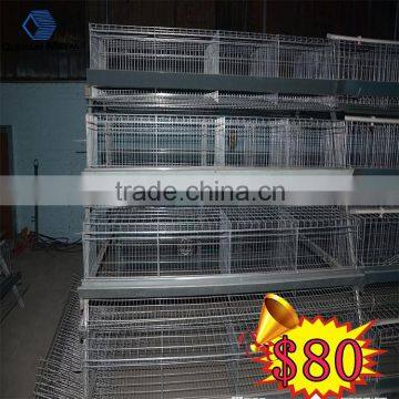 hot dipped galvanized poultry layer cage