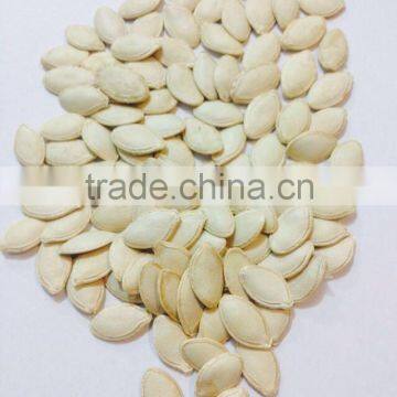 Bulk Vegetable Seeds China Shine Skin Pumpkin Seeds Grade a photo-4