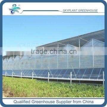 PC Sheet / Polycarbonate Greenhouse for flower growing