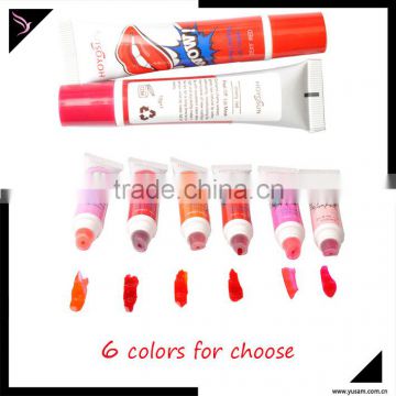 2016 Hot Sell Waterproof Lip Gloss in makeup