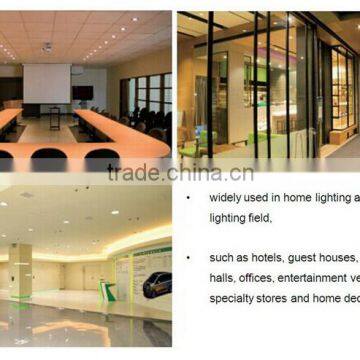 8' ' 25W Fully Luminous Led Downlight photo-6