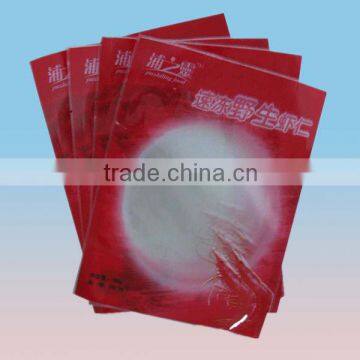 frozen plastic bag for packaging with window