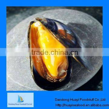 best quality frozen cooing mussel meat