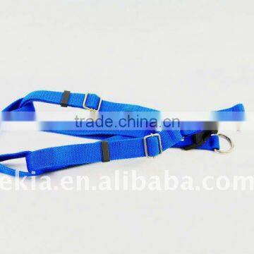 Nice blue dog products set