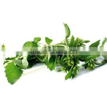 Stevia leaf Extract steviosides 95%, Stevia Extract 98%RA CADY