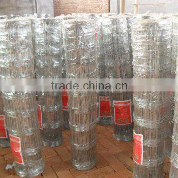 galvanized cattle fence