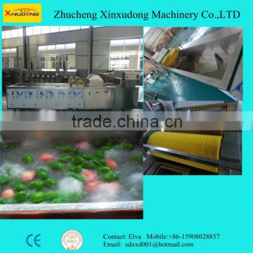 Automatic Large Capacity Fruit Washing Machine