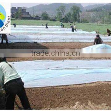 Junyu Agriculture Nonwoven Fabric as a Protection Against Heat Loss in Greenhouses and Garden Tunnels photo-2