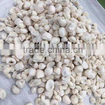 Vacuum Freeze Dried Mangosteen From Thailand 100% Natural! Certified HACCP , ISO 22000 , GMP , HALAL and KOSHER [ Mangosteen ] photo-2