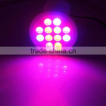 red blue led grow light bulb 24w for indoor plants